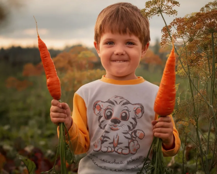 Мальчик и морковки